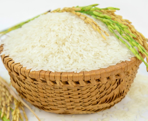 Gạo đặc sản - Gạo Thành Nam - Công Ty TNHH MTV Nông Lâm Sản Thành Nam